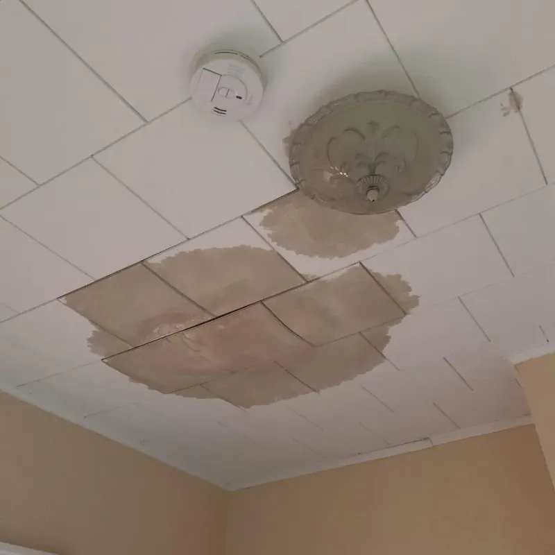 Ceiling Water Damage Repair in New Springville, NY