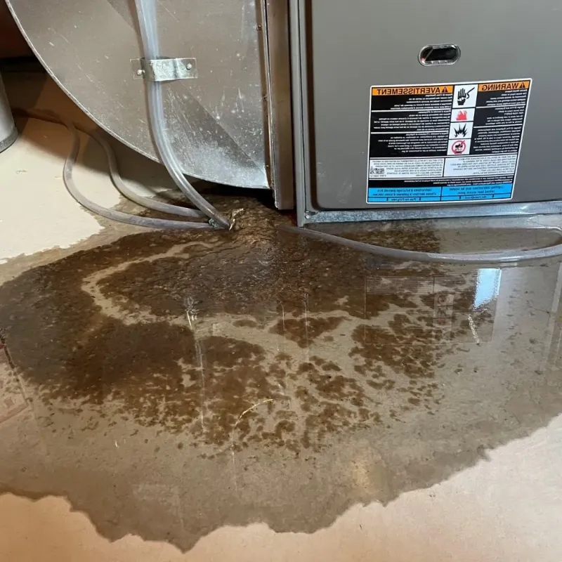 Pipe Burst and Leak Restoration in New Springville, NY